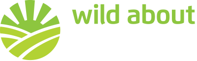 Wild About Campers